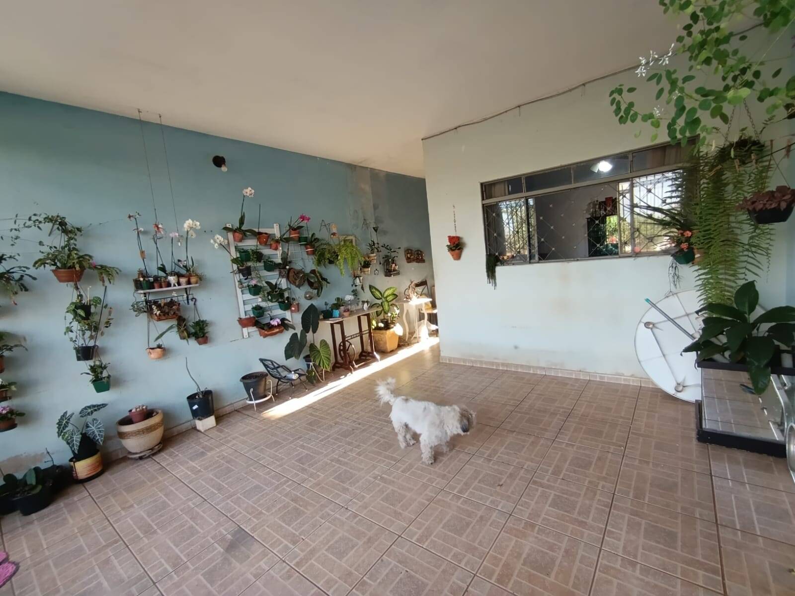 Casa, 3 quartos, 117 m² - Foto 5