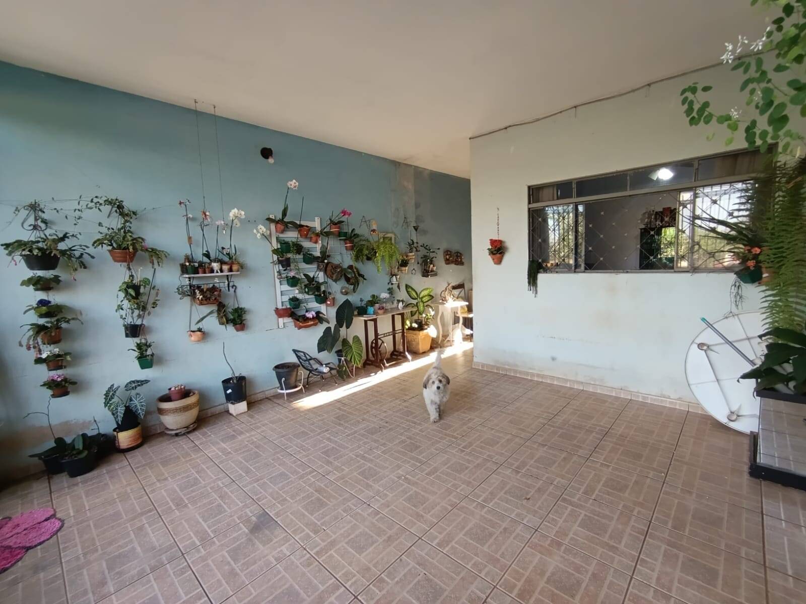 Casa, 3 quartos, 117 m² - Foto 7