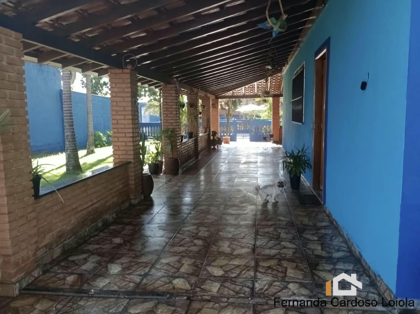 Sítio, 3 quartos, 1432 m² - Foto 4